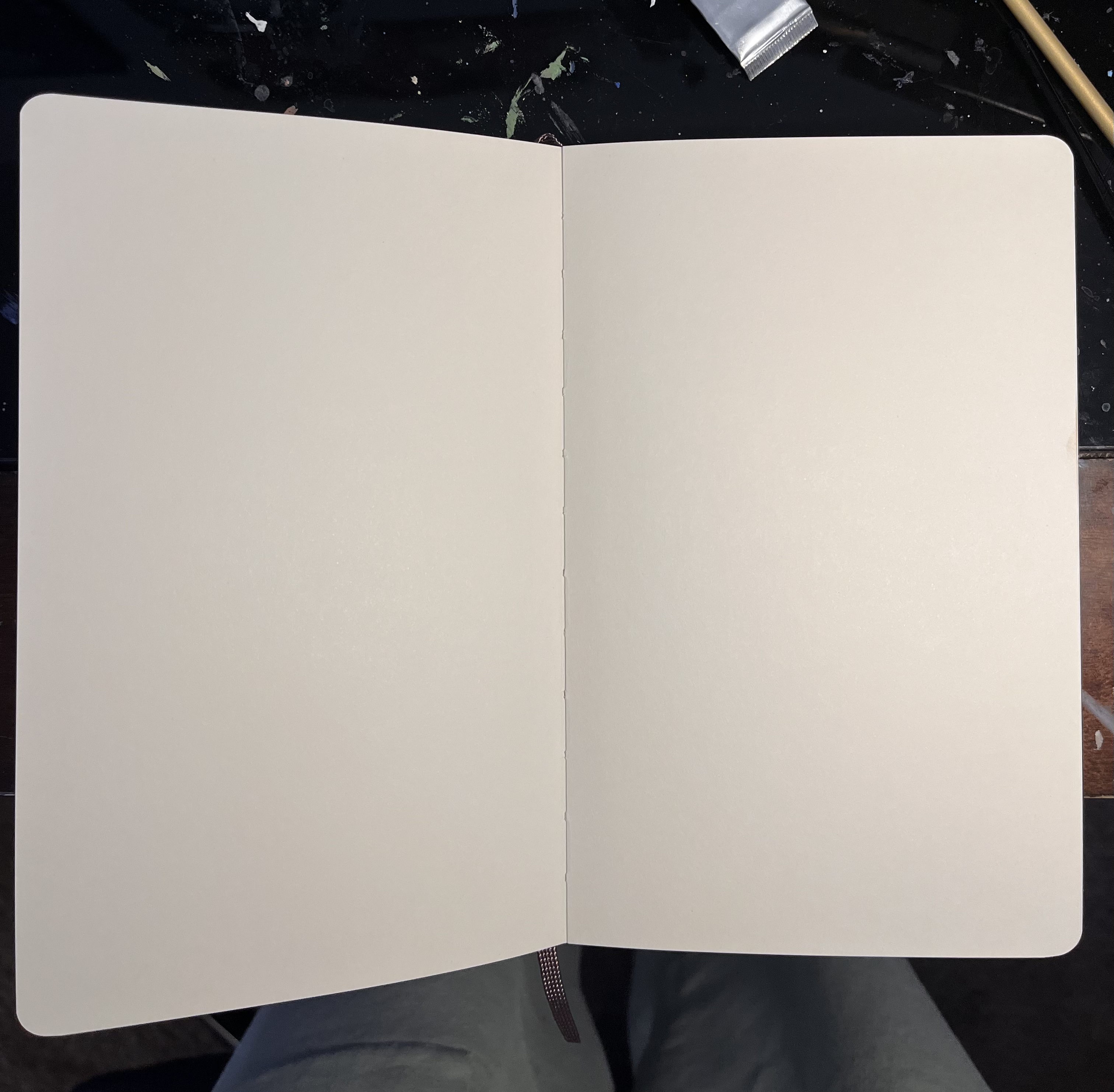 Moleskine Sketchbooks: A Review on What You Need to Know 