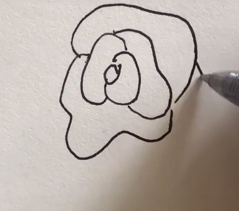 How to paint a rose