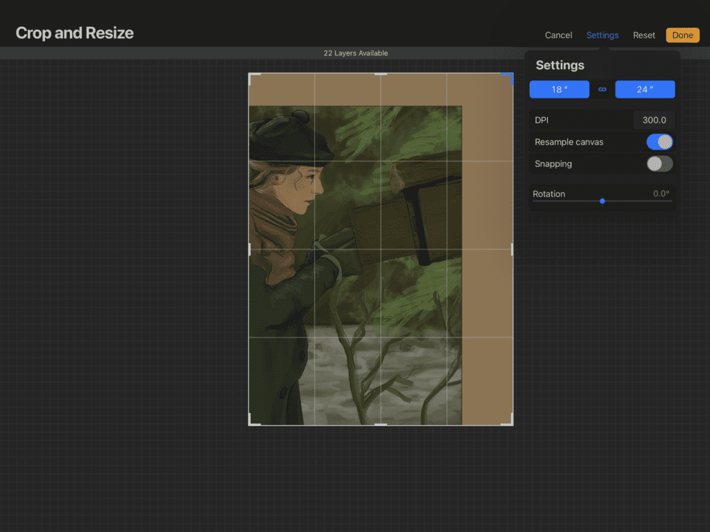 How to resample canvas procreate