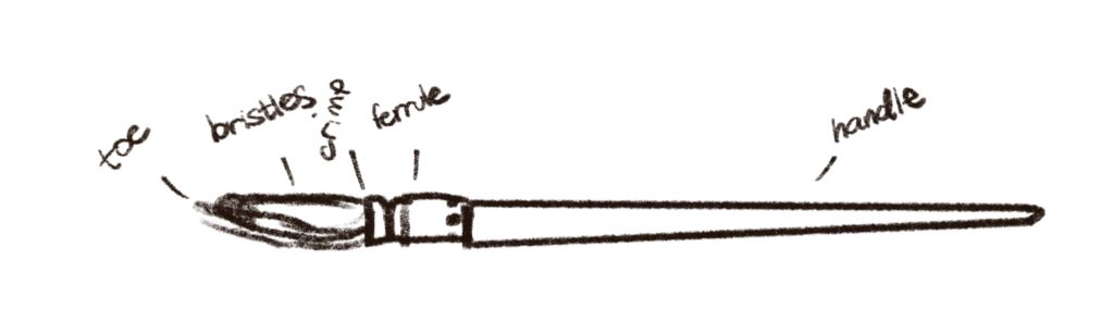 Anatomy of a paintbrushes different types of paintbrushes