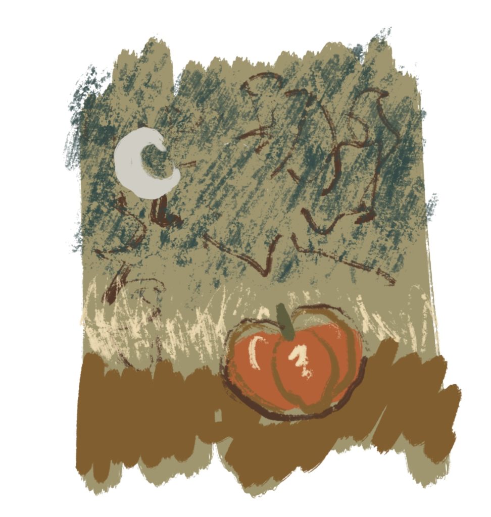 Pumpkin patch procreate drawing